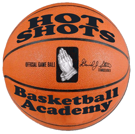 hot shots basketball game